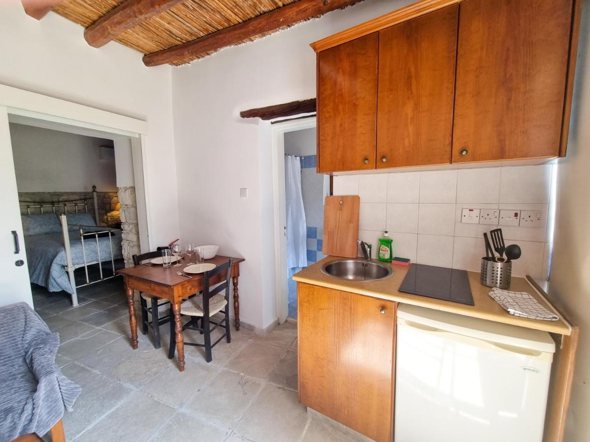 Athena'S Pool Oasis Apartment Skarinou Exterior photo
